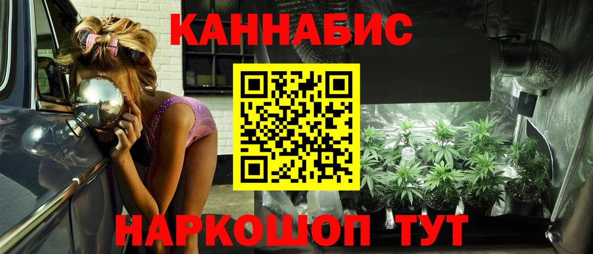 Шишки марихуана планчик  Вход с VPN  Каннабис индика  Каннабис сатива  Мариинск 